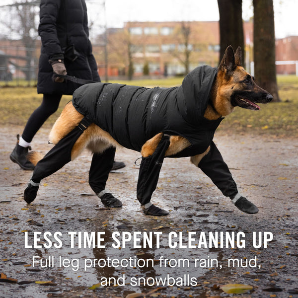 Bottes à Bretelles Imperméables Pour Chien - Pantalon Intégré Anti-saleté - Hiver Et Pluie - Taille M - 8