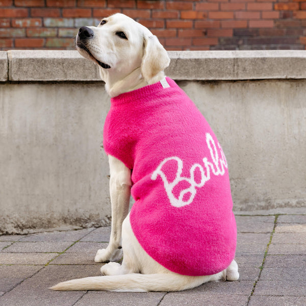 Barbie Pawparazzi Dog Sweater Canada Pooch