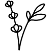 icon_alt
