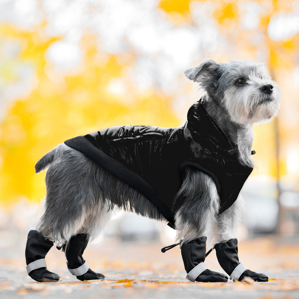 The Best Winter Dog Boots Soft Shield Canada Pooch