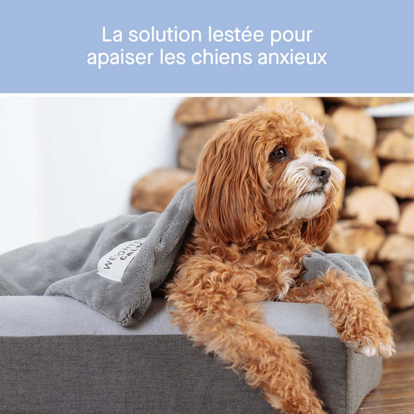 Weighted Blanket For Dogs Canada Pooch