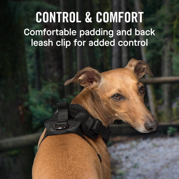 The Everything Dog Harness NoPull Dog Harness Canada Pooch