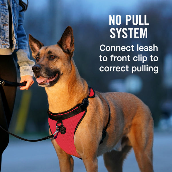 The Everything Dog Harness NoPull Dog Harness Canada Pooch