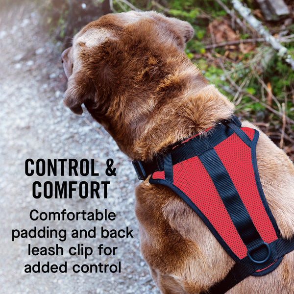 The Everything Dog Harness NoPull Dog Harness Canada Pooch