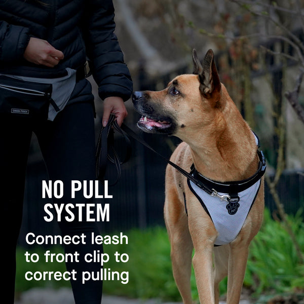 The Everything Dog Harness – No-Pull Dog Harness Canada Pooch