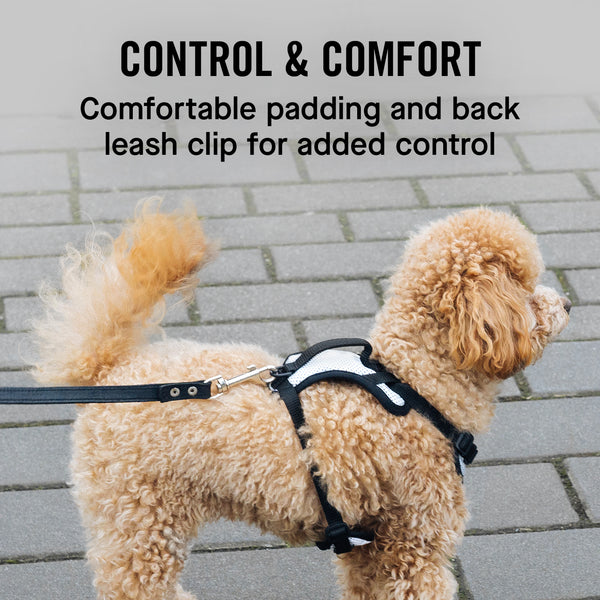 The Everything Dog Harness – No-Pull Dog Harness Canada Pooch