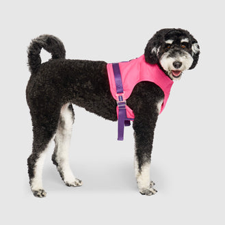 Chill Seeker Cooling Harness in Neon Pink, Canada Pooch Dog Harness