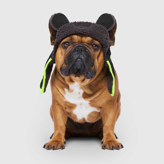 Cool Factor Aviator Hat in Black, Canada Pooch, Dog Hat