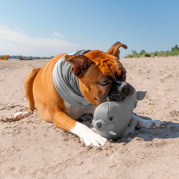 CoolingPal_Walrus_Lifestyle_2_