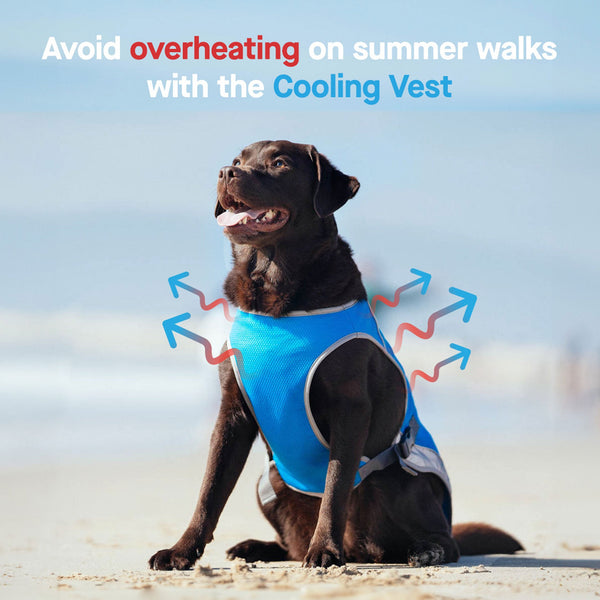 Canada Pooch Chill Seeker Cooling Vest Blue 8