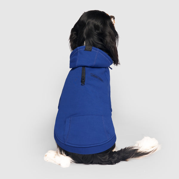 Eco Friendly Everyday Dog Hoodie | Canada Pooch