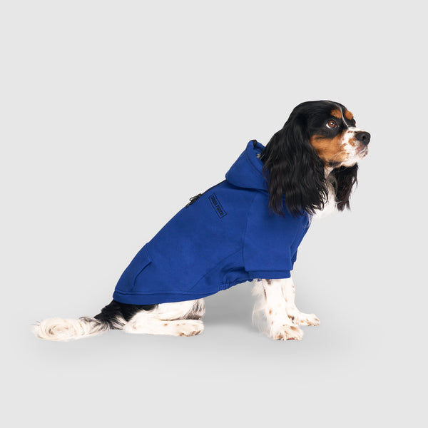 Eco Friendly Everyday Dog Hoodie | Canada Pooch
