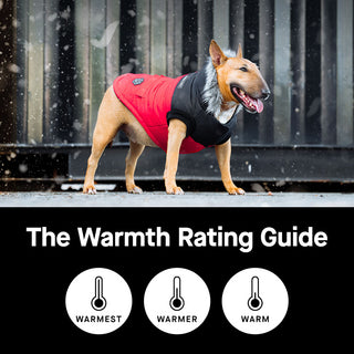 Which parka is right for your dog?