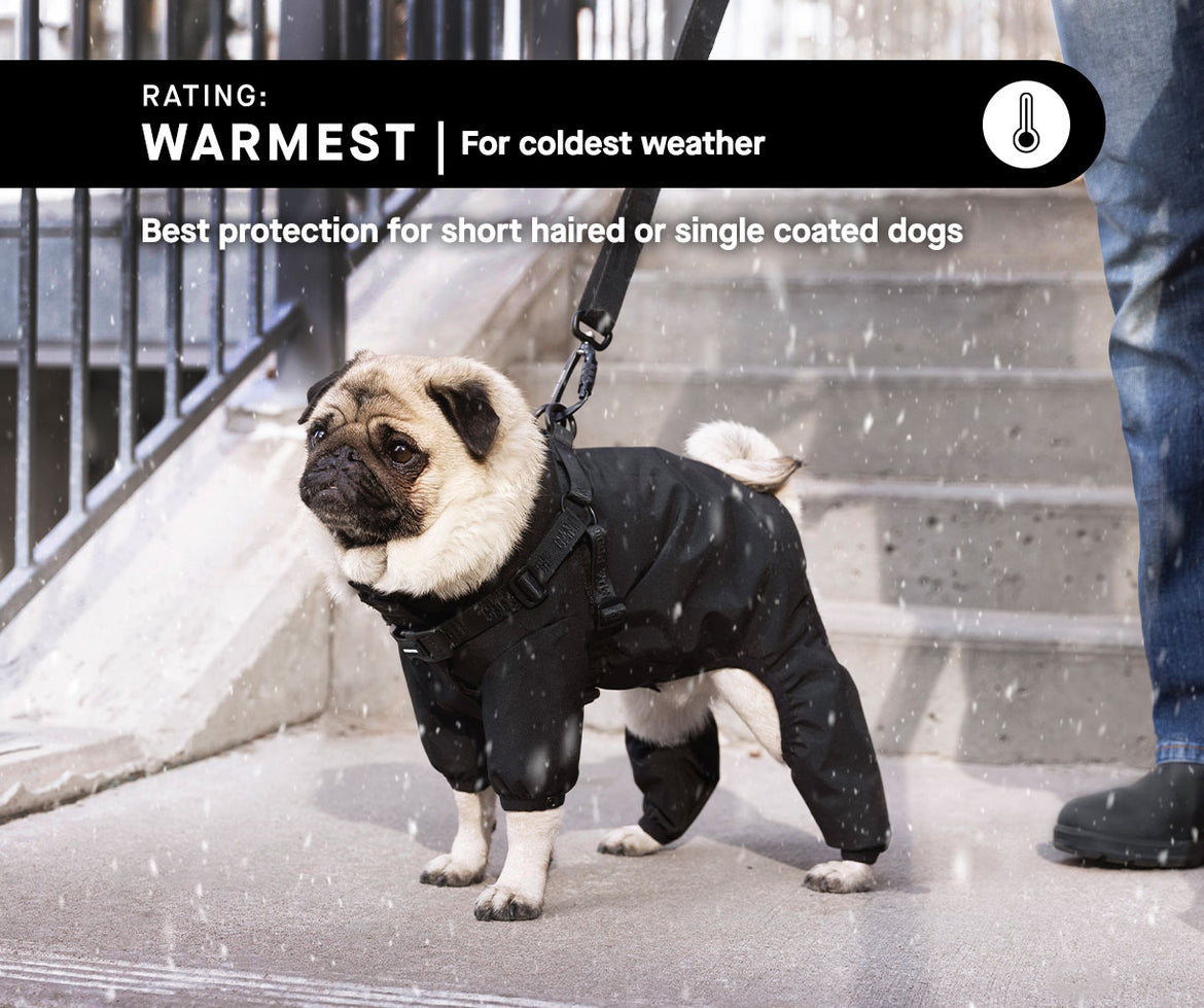 Warmest Dog Parkas