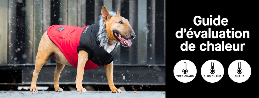 Quelle parka convient à votre chien ?