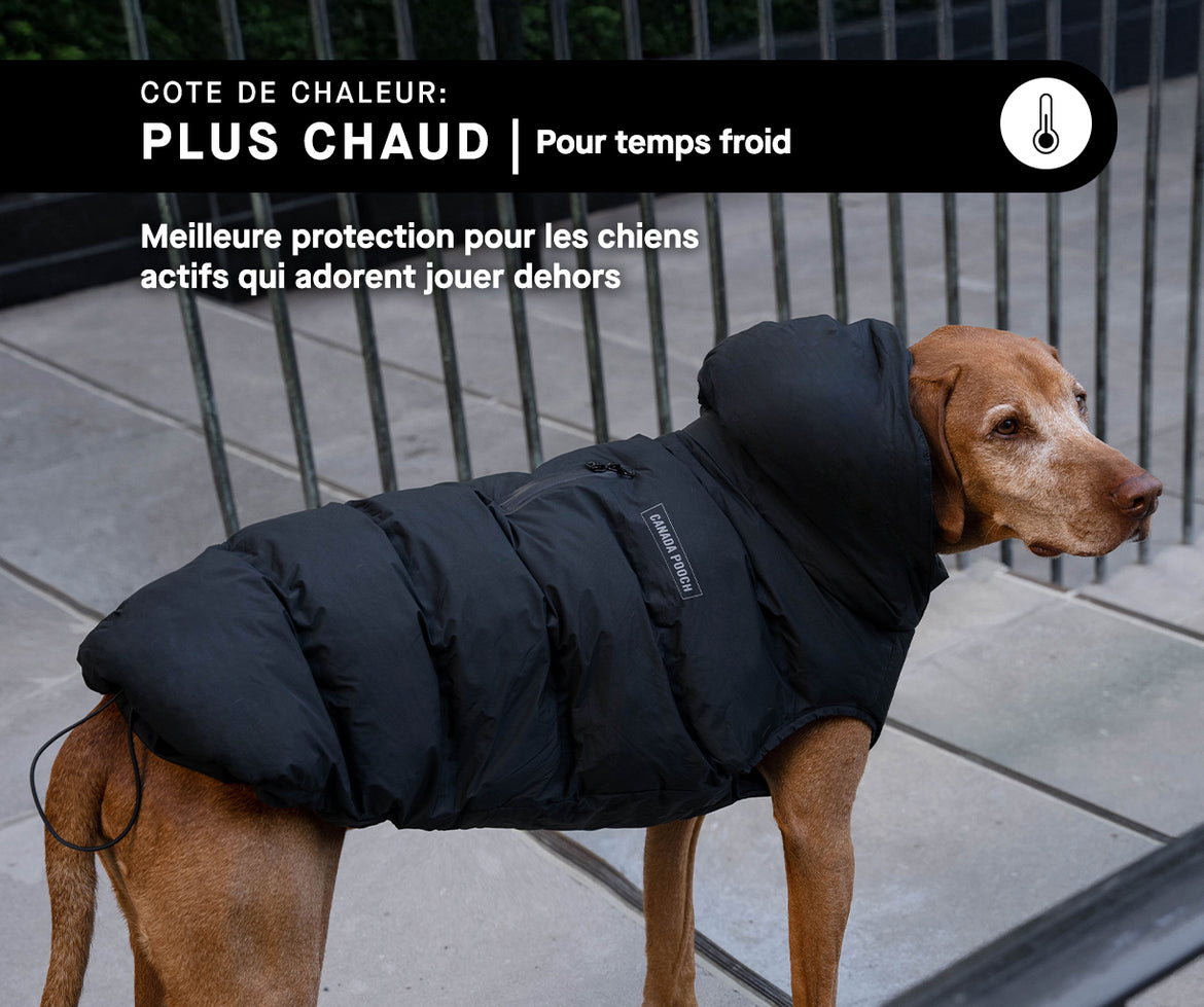 Parkas pour chiens plus chauds