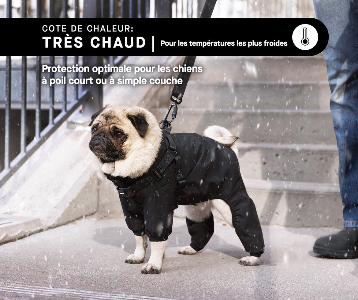Parkas pour chiens les plus chauds