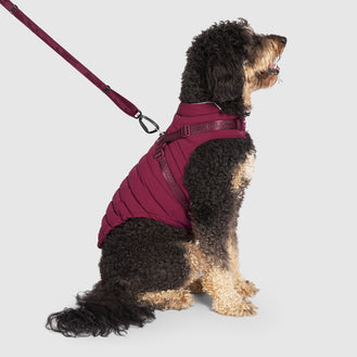 Harness Puffer in Plum, Canada Pooch Dog Parka