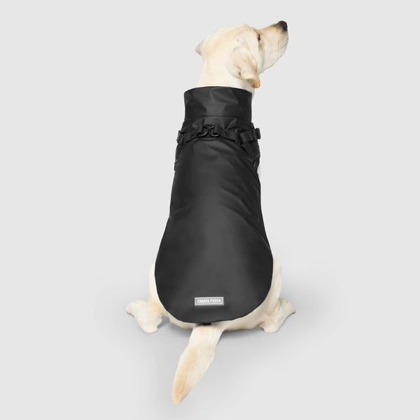 Dog raincoat for use with harness hotsell