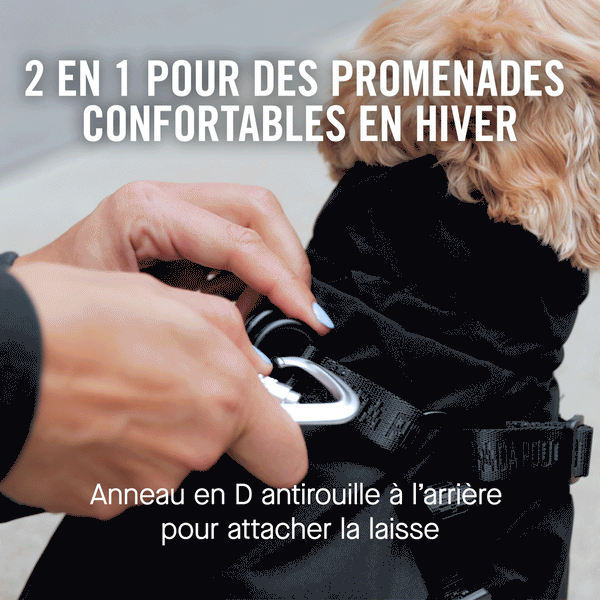 Dog Harness Snowsuit Canada Pooch