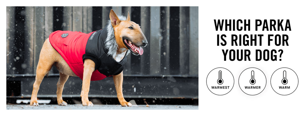 Which parka is right for your dog?