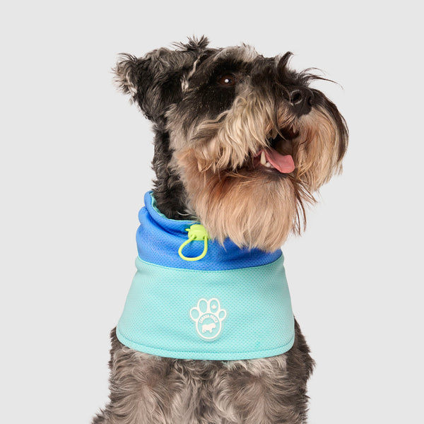 Max Chill Cooling Dog Snood | Canada Pooch