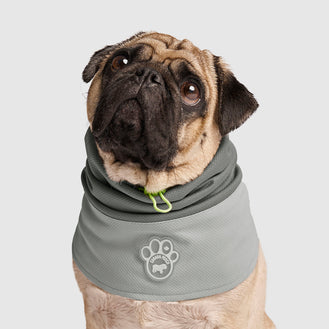 Max Chill Cooling Snood in Grey, Canada Pooch Dog Snood