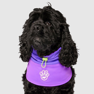 Max Chill Cooling Snood in Purple, Canada Pooch Dog Snood