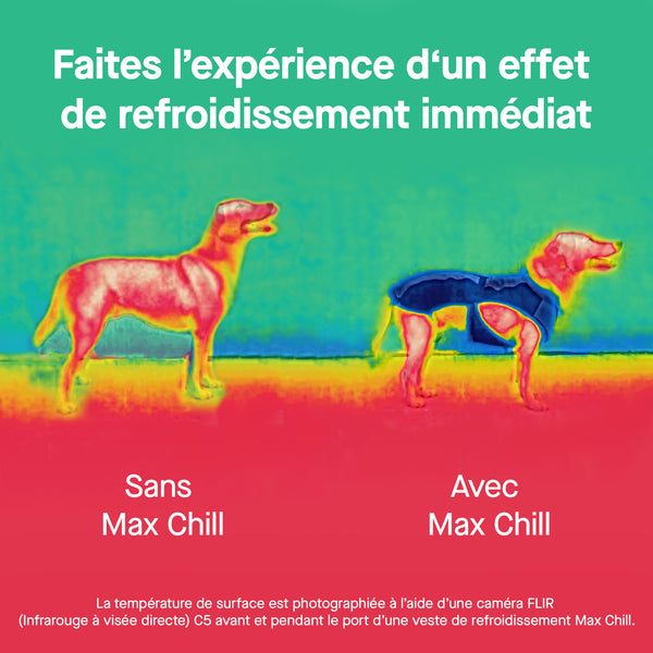 MaxChillCoolingVest_Blue_Enhan