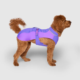 Max Chill Cooling Vest in Purple, Canada Pooch Dog Vest