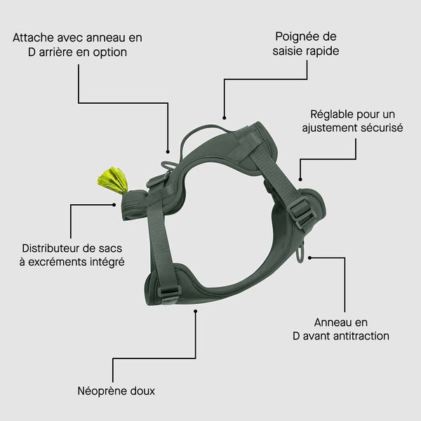 NeopreneHarness_Green_Carousel