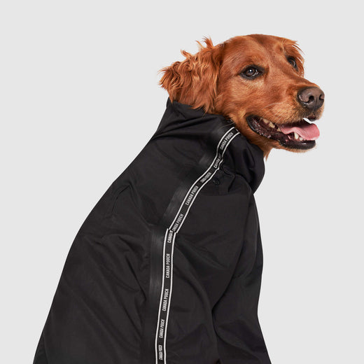 Slush Suit in Black, Canada Pooch Dog Suit