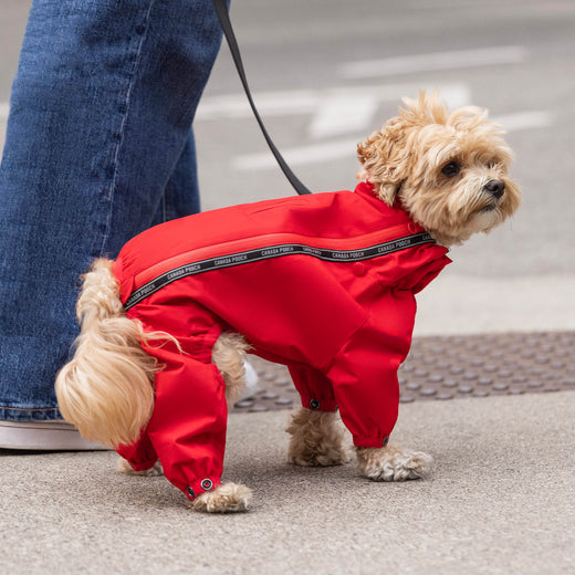 Slush Suit in Red, Canada Pooch Dog Suit