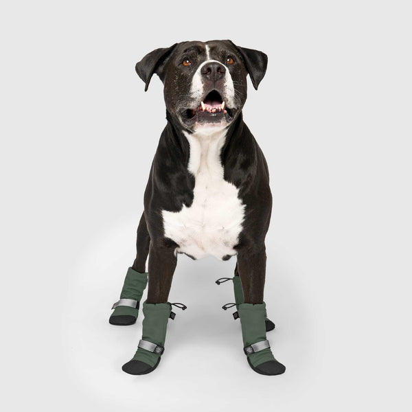 Dog booties for inside the house best sale