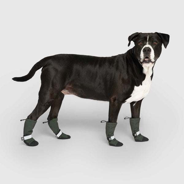 Dog winter boots hotsell