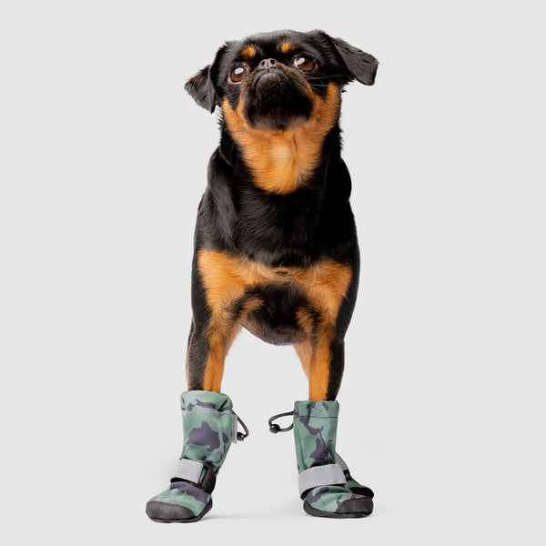 Dog shoes for rottweiler hotsell