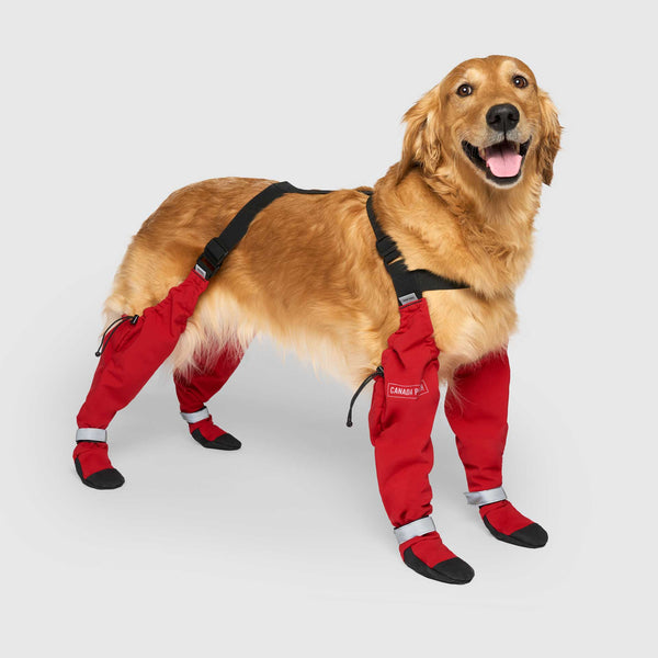 Suspender Winter Dog Boots Canada Pooch