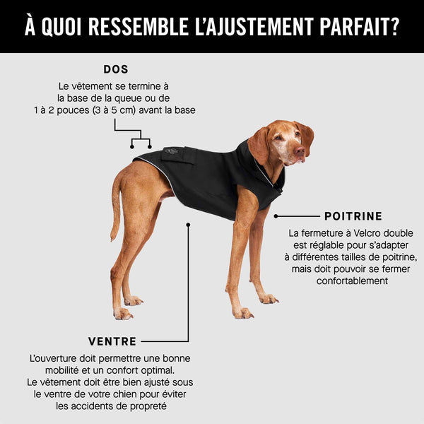 Torrential Tracker Cute Dog Raincoat Canada Pooch