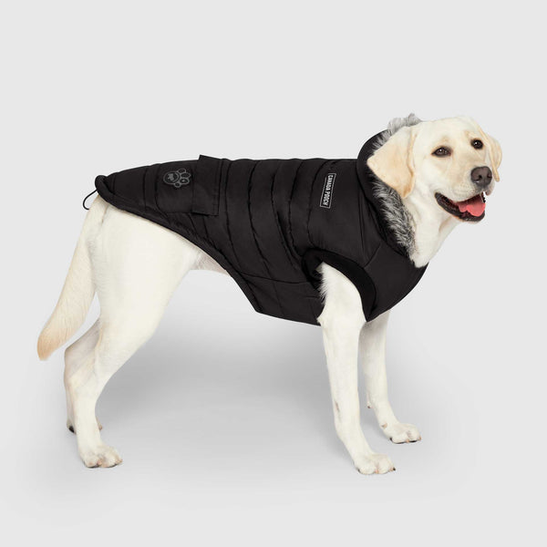 True North Dog Winter Parka Jacket Canada Pooch