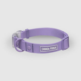Waterproof Collar in Lavender, Canada Pooch, Dog Collar|| color::lavender|| size::na
