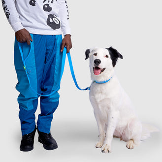 Waterproof Leash in Blue, Canada Pooch, Dog Leash