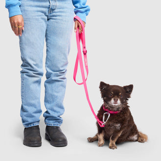 Waterproof Leash in Pink, Canada Pooch, Dog Leash