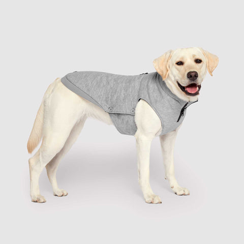 DOG GUARD 犬服 FEATHER×GLAHI LL WaterproofSweater_Grey_1_large