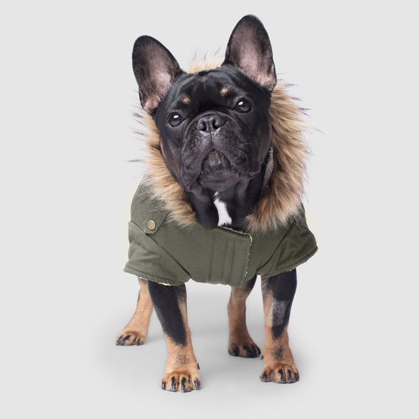 Canada pooch winter wilderness jacket new arrivals
