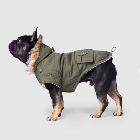 Winter dog coats canada cheap