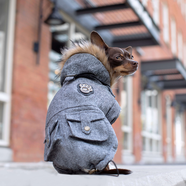 Canada pooch 2025 winter jackets