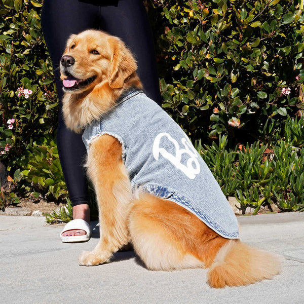 Dog jean vest new arrivals