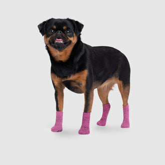 The Basic Dog Socks Pink, Canada Pooch Dog Socks 