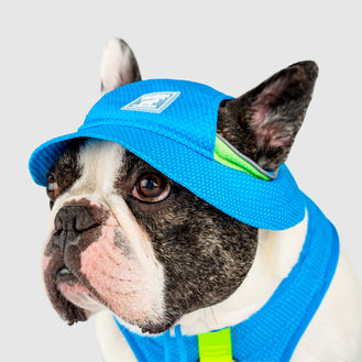 Chill Seeker Cooling Hat in Blue Green, Canada Pooch Dog Hat
