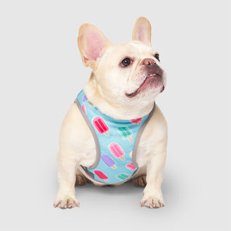 Chill Seeker Cooling Vest in Popsicle, Canada Pooch Dog Cooling
